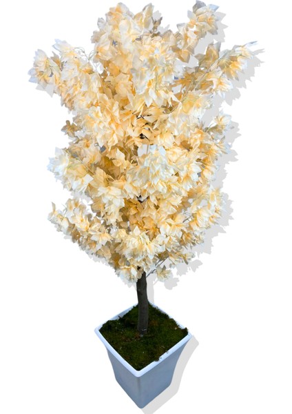 Somon Begonvil 160 cm Yapay Ağaç Beyaz Kare Saksı