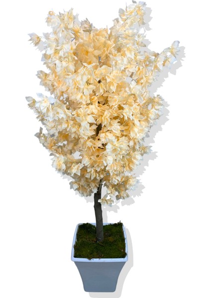 Somon Begonvil 160 cm Yapay Ağaç Beyaz Kare Saksı modelleri