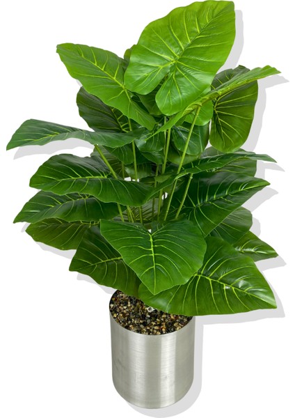 Alocasia Brisbanensis (Kaşık Zambağı) 90 cm Yapay Ağaç 24 Dal 25X25 Galvaniz Saksı