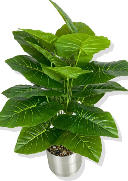 Alocasia Brisbanensis (Kaşık Zambağı) 90 cm Yapay Ağaç 24 Dal 25X25 Galvaniz Saksı fiyatları