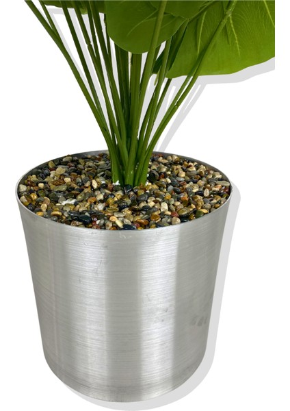 Alocasia Brisbanensis (Kaşık Zambağı) 90 cm Yapay Ağaç 24 Dal 25X25 Galvaniz Saksı indirimleri