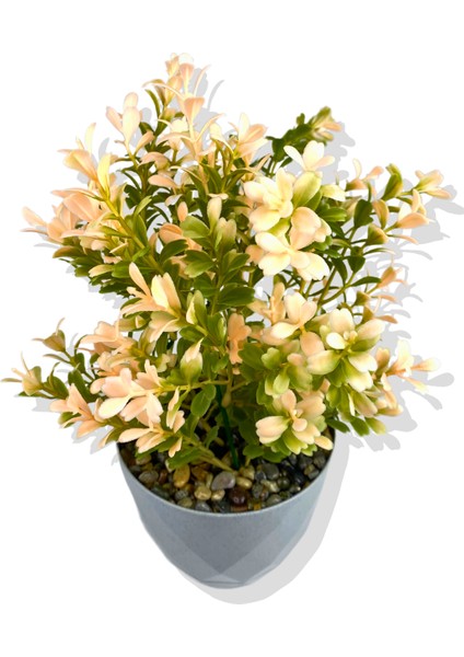 Yapay Mini Saksıda Pudra Pembe Şimşir 28 cm Açık Mavi Saksı fiyatları