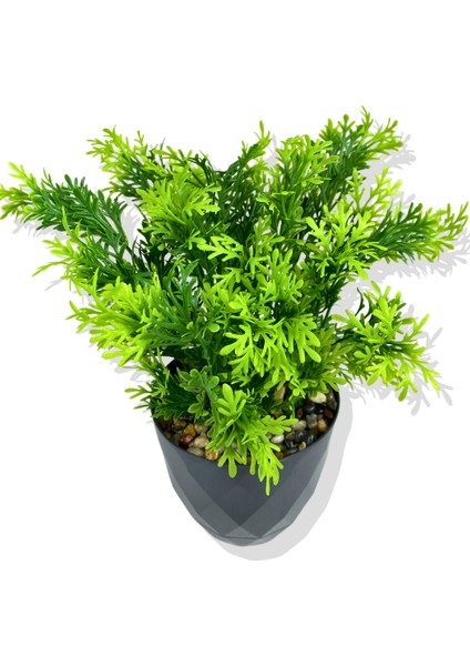 Yapay Mini Saksıda Selaginler Bitkisi 28 cm Antrasit Saksı
