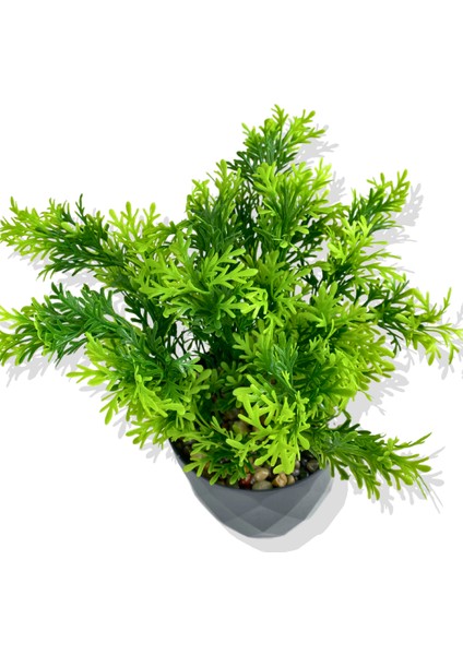 Yapay Mini Saksıda Selaginler Bitkisi 28 cm Antrasit Saksı fiyatları