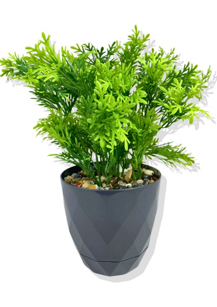 Yapay Mini Saksıda Selaginler Bitkisi 28 cm Antrasit Saksı fırsatları