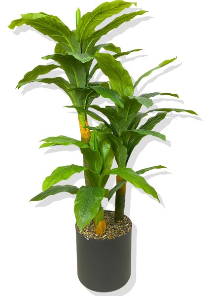 Dracaena Fragrans Koyu Renk 3 Gövde Yapay Ağaç 160 cm Siyah 30X30 Galvaniz Saksı