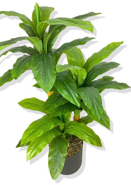 Dracaena Fragrans Koyu Renk 3 Gövde Yapay Ağaç 160 cm Siyah 30X30 Galvaniz Saksı modelleri