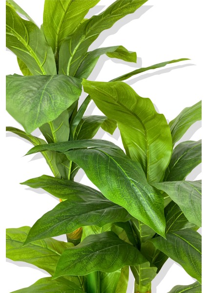Dracaena Fragrans Koyu Renk 3 Gövde Yapay Ağaç 160 cm Siyah 30X30 Galvaniz Saksı fırsatları