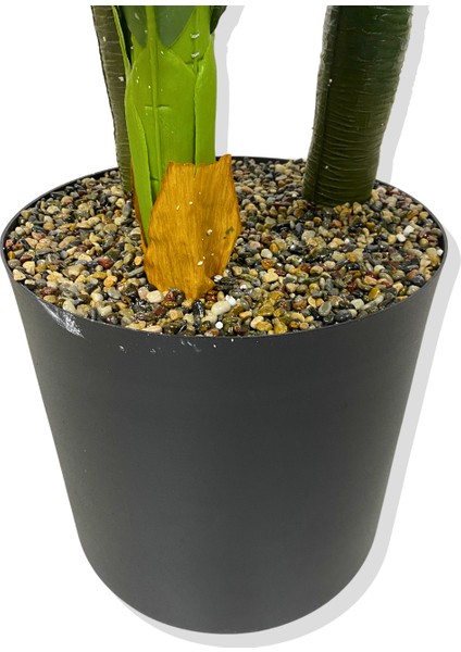 Dracaena Fragrans Koyu Renk 3 Gövde Yapay Ağaç 160 cm Siyah 30X30 Galvaniz Saksı indirimleri