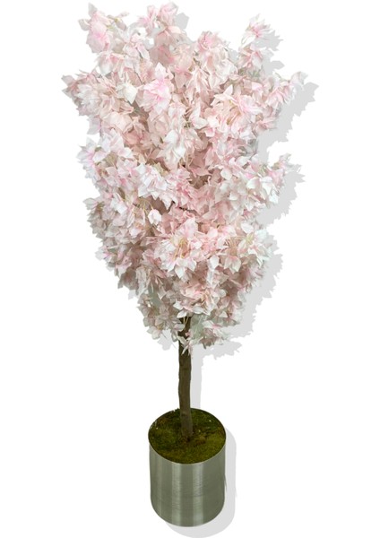 Pembe Begonvil 180 cm Yapay Ağaç 30X30 Galvaniz Saksı modelleri