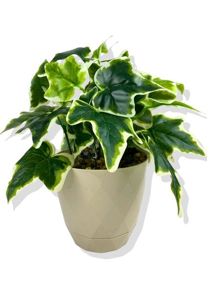 Yapay Mini Saksıda Hedera Helix Sarmaşık 28 cm Krem Saksı fiyatları