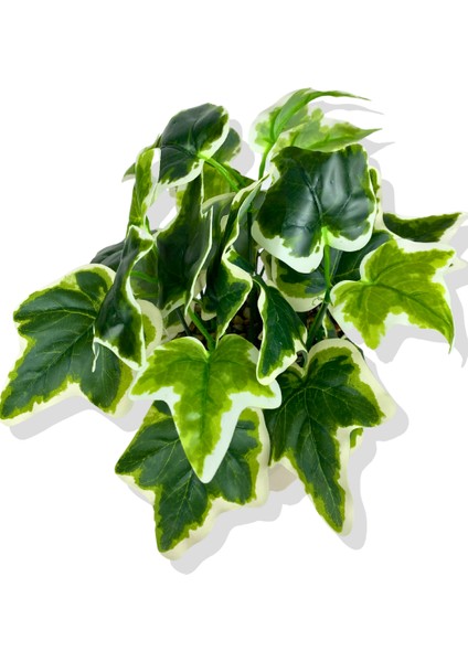 Yapay Mini Saksıda Hedera Helix Sarmaşık 28 cm Krem Saksı fırsatları