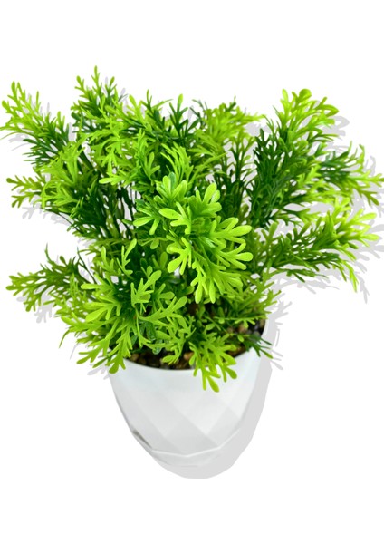 Yapay Mini Saksıda Selaginler Bitkisi 28 cm Beyaz Saksı fiyatları