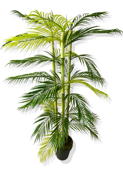 Yapay Ağaç 3 Gövde Bambu Çikas 120 cm Üretim Saksısı