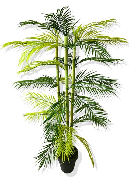 Yapay Ağaç 3 Gövde Bambu Çikas 120 cm Üretim Saksısı