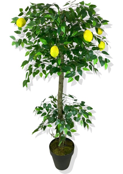 Limon Ağacı 180 cm Yapay Ağaç Üretim Saksısı