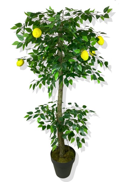 Limon Ağacı 180 cm Yapay Ağaç Üretim Saksısı