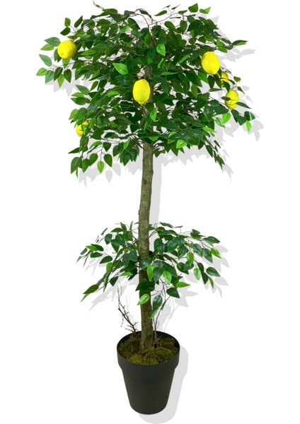 Limon Ağacı 180 cm Yapay Ağaç Üretim Saksısı