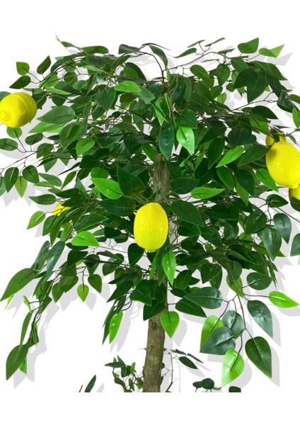 Limon Ağacı 180 cm Yapay Ağaç Üretim Saksısı