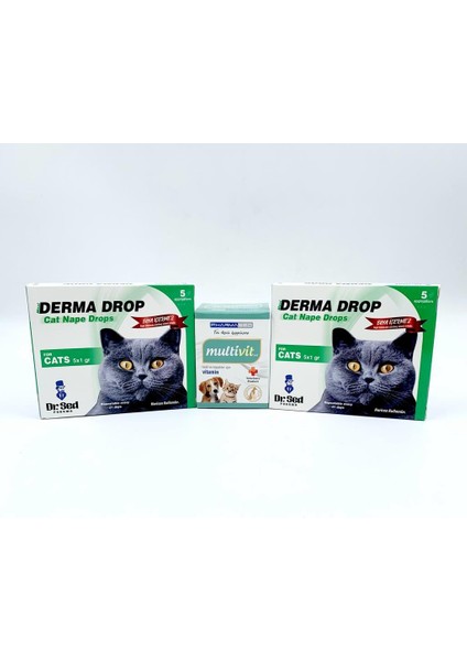 Dr Sed Kedi Ensedamla 2 Kutu + Pharmased Multivitamin