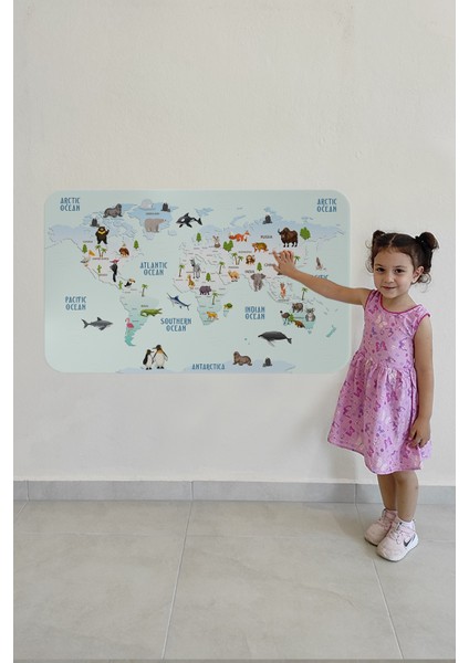 Eğitici Dünya Haritası Dünya Atlası Çocuk ve Bebek Odası Duvar Sticker 3796