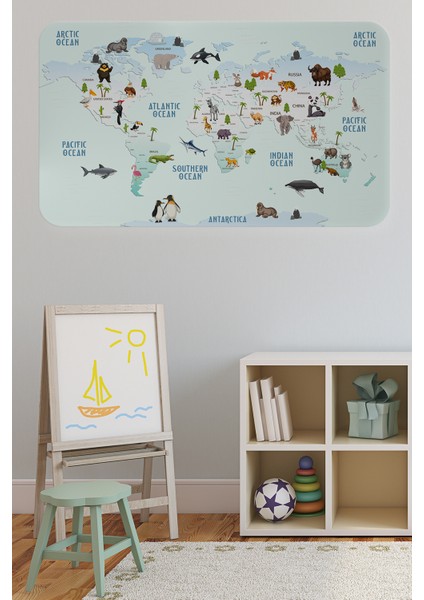 Eğitici Dünya Haritası Dünya Atlası Çocuk ve Bebek Odası Duvar Sticker 3796 fiyatları