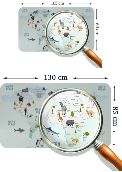 Eğitici Dünya Haritası Dünya Atlası Çocuk ve Bebek Odası Duvar Sticker 3796 fırsatları