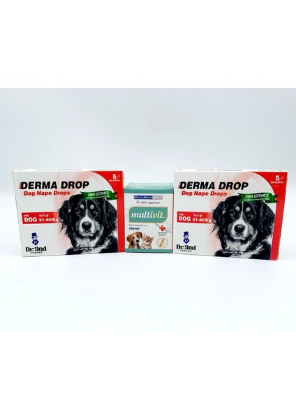 Dr Sed 21-40 kg  Köpek Ensedamla 2 Kutu + Pharmased Multivitamin