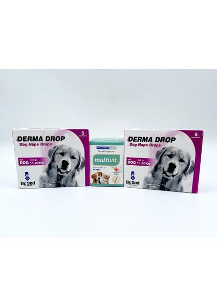 Dr Sed 11-20 kg  Köpek Ensedamla 2 Kutu + Pharmased Multivitamin