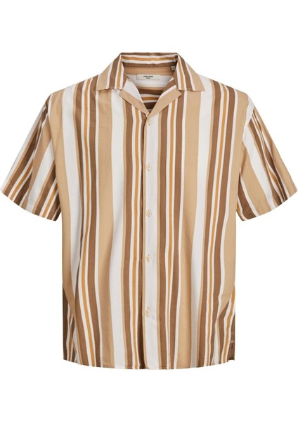 Blatropic Resort Relax Erkek Çizgili Gömlek