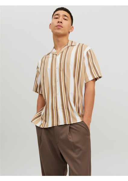 Blatropic Resort Relax Erkek Çizgili Gömlek fiyatları