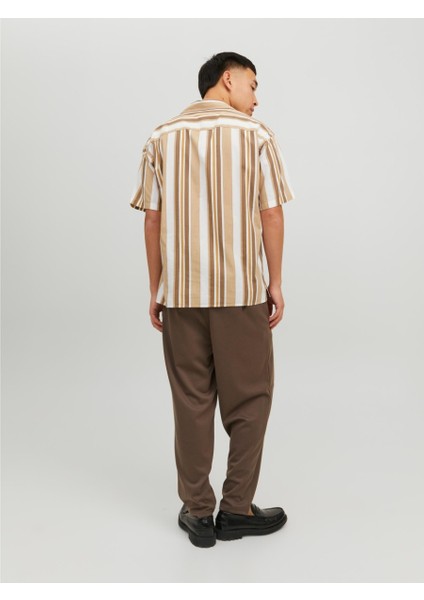 Blatropic Resort Relax Erkek Çizgili Gömlek modelleri