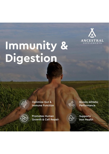 Ancestral Supplements New Zealand & Australia Grassfed Beef Colostrum 180 Kapsül Hormone Pecticide & Gmo Free