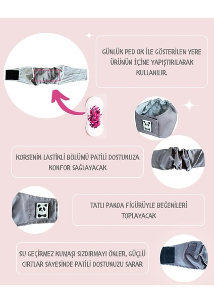 Kedi Çiş Bel Bandı Yıkanabilir Sızdırmaz Kedi Kıyafeti fırsatları