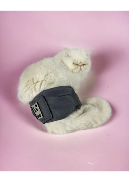 Kedi Çiş Bel Bandı Yıkanabilir Sızdırmaz Kedi Kıyafeti