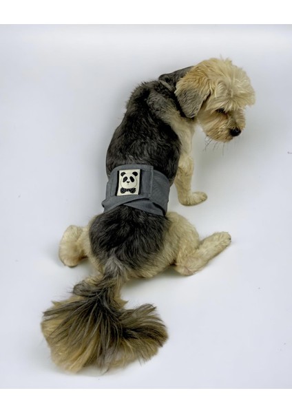 Köpek Çiş Bel Bandı Yıkanabilir Sızdırmaz Köpek Kıyafeti