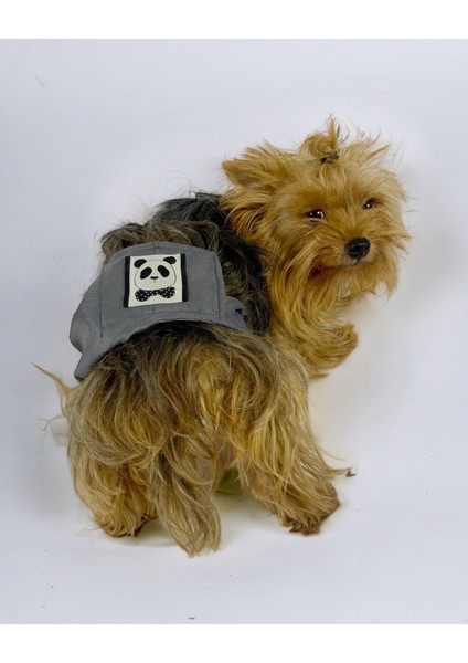 Köpek Çiş Bel Bandı Yıkanabilir Sızdırmaz Köpek Kıyafeti fırsatları