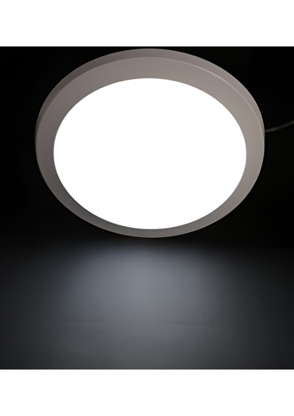 Dekoratif 24W LED Glob Tavan Armatürü Beyaz Işık 25 Cm 2'li Paket Koridor Banyo Balkon İçin İdeal fiyatları