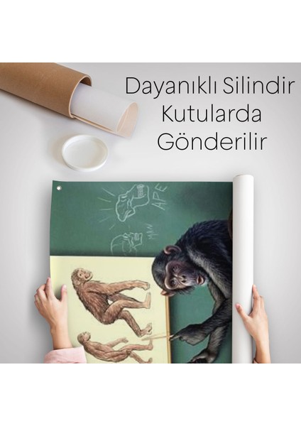Insanın Tersine Evrimine Anlatan Manmun Duvar Örtüsü - HALISI-6265