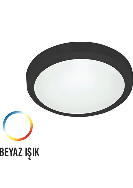 Dekoratif 24W LED Glob Tavan Armatürü Beyaz Işık 25 Cm 2'li Paket Siyah Kasa