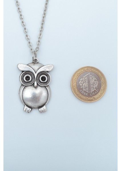 2'li Baykuş Gümüş Kaplama Unisex Düz Zincir Kolye Seti kod 1064 fiyatları