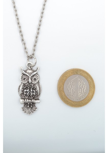 2'li Baykuş Gümüş Kaplama Unisex Düz Zincir Kolye Seti kod 1064 modelleri