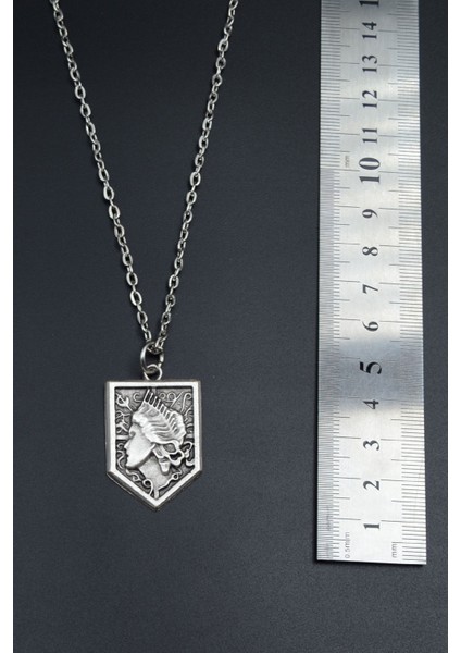 Anime Attack On Titan Sina Gümüş Kaplama Unisex Düz Zincir Kolye kod 716 fırsatları