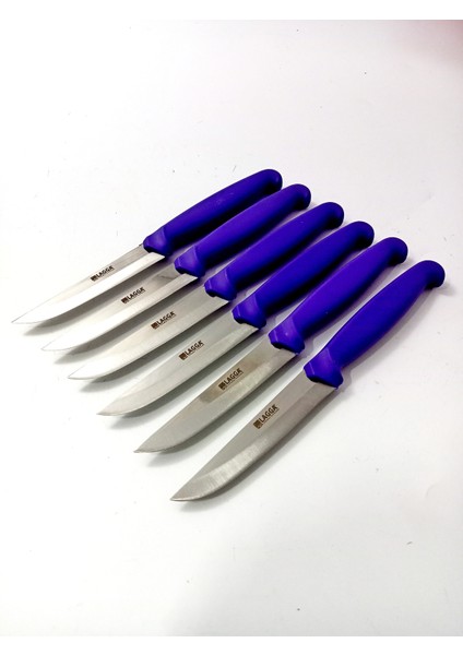6 Parça El Yapımı Kişiselleştirilebilir Meyve Bıçak Seti ( Renk Çeşitli ) Uzunluk 19 cm