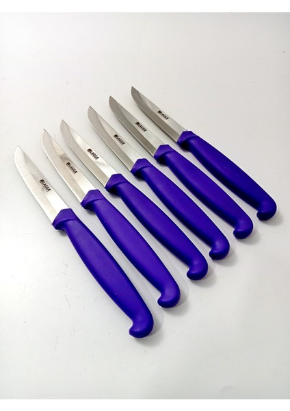 6 Parça El Yapımı Kişiselleştirilebilir Meyve Bıçak Seti ( Renk Çeşitli ) Uzunluk 19 cm fiyatları