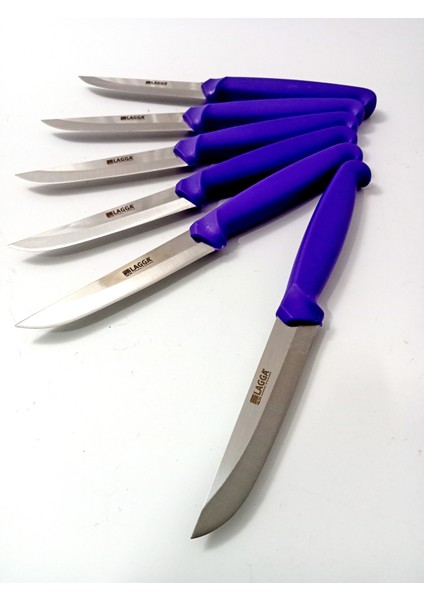 6 Parça El Yapımı Kişiselleştirilebilir Meyve Bıçak Seti ( Renk Çeşitli ) Uzunluk 19 cm modelleri