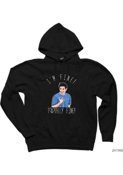 Friends Ross Is Not Fine Siyah Kapşonlu Sweatshirt Hoodie