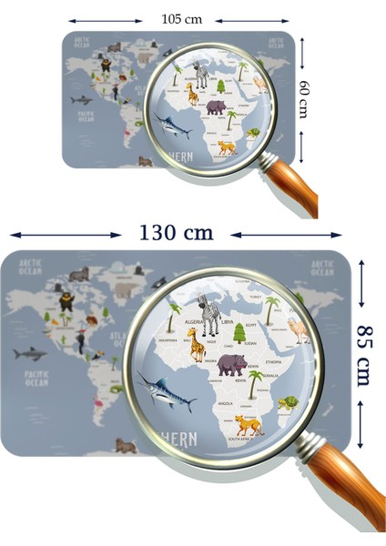HSD Telekom Eğitici Dünya Haritası Dünya Atlası Çocuk ve Bebek Odası Duvar Sticker 3789