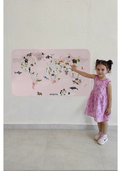 Eğitici Dünya Haritası Dünya Atlası Çocuk ve Bebek Odası Duvar STICKER-3795