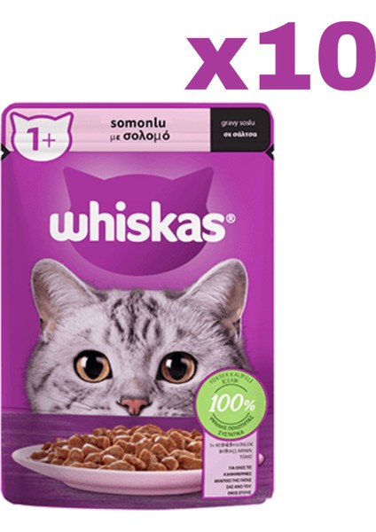 Whıskas Somonlu Kedi Yaş Mama 10 Adet (1X85GR)